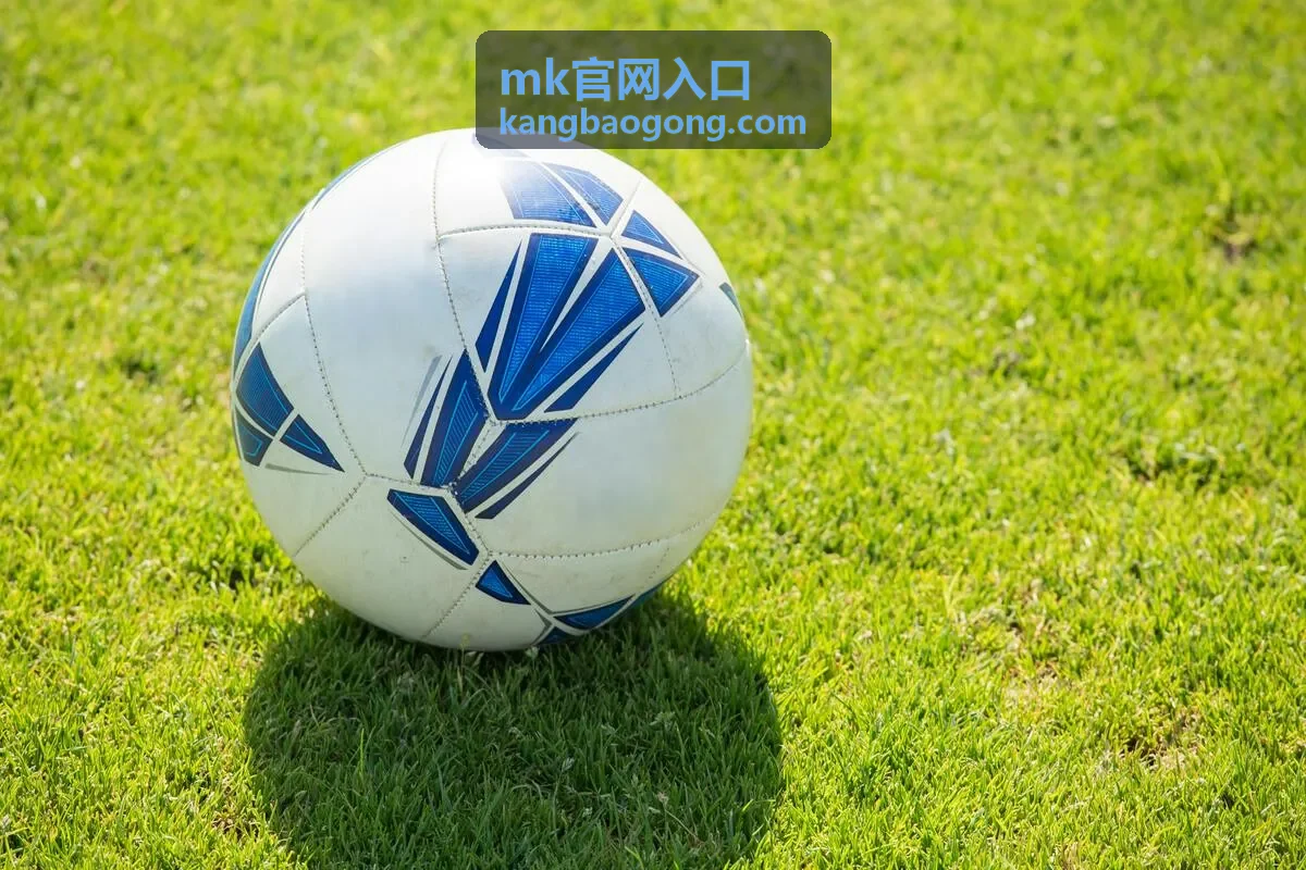 mk官网入口 地址比对与信息一致性确认