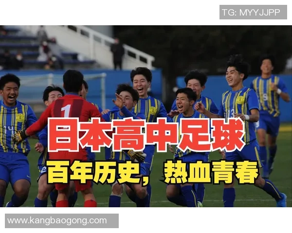 沉浸在绿茵场上的激情与感动足球观赛的独特体验与心灵感受